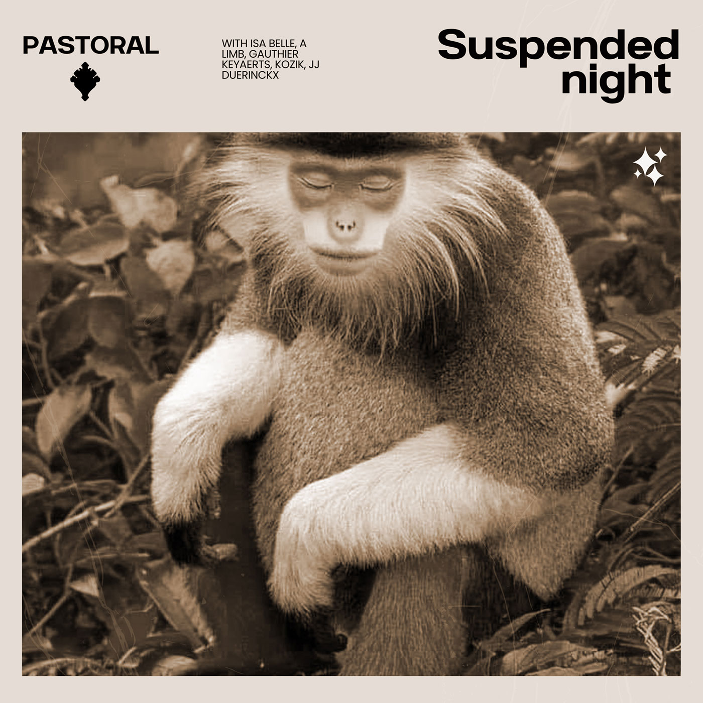Visuel de Pastoral - Suspended night.